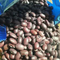 لوبیا قرمز بسته بندی900گرمی|خوردنی و آشامیدنی|کرج, شهر صنعتی|دیوار