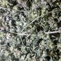 خارخاسک|خوردنی و آشامیدنی|رضویه, |دیوار