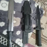 کلیکسونی|کلکسیون اشیاء عتیقه|شاهین‌شهر, مورچه خورت|دیوار