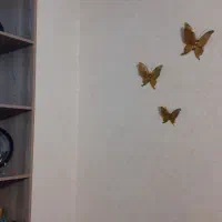 پتینه پوشش سلولزی|خدمات پیشه و مهارت|زنجان, |دیوار