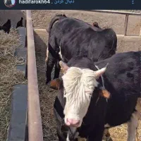 مشارکت درساخت