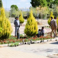 خدمات باغبانی کاشت گل گیاه باغچه تعویض خاک گلدون