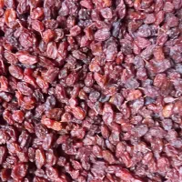 کشمش آفتابی خشک