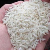 انواع برنج ایرانی ،هندی پاکستانی