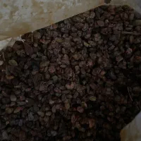 کشمش افتابی ابگیری