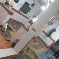 همستر ودوتا عروس