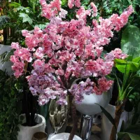 درخت شکوفه مصنوعی|گل مصنوعی|قم, باجک یک|دیوار