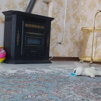 بخاری شومینه ایران شرق ۶۴۰۰