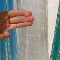 تور گرد|ماهیگیری|دزفول, |دیوار