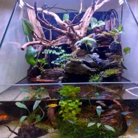 آکواریکوم تلاریوم پالاداریوم ماهی