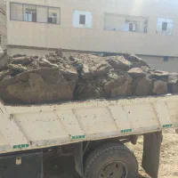 خاک گوسفند کوهی