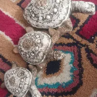 مجسمه دکوری