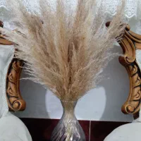 گلدان