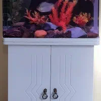 آکواریوم|ماهی|اصفهان, کوی شهید کشوری|دیوار