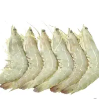 میگو پرورشی تازه