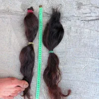 موی طبیعی انسان سالم، بدون رنگ و بدون دکلره|آرایشی، بهداشتی، درمانی|پاکدشت, پاکدشت (مامازند)|دیوار