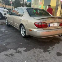 ماکسیما مدل ۸۴