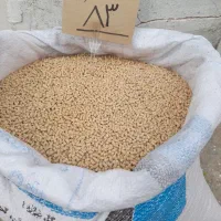 خوراک طیور (دان پارس)