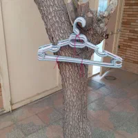 رکال