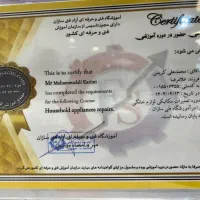 تعمیر لوازم خانگی|خدمات پیشه و مهارت|تهران, اقدسیه|دیوار