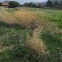 فروش قطعه زمین