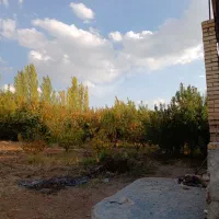 باغ و گلخانه|فروش دفتر صنعتی، کشاورزی، تجاری|سنندج, |دیوار