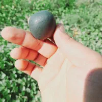 جواهر ارزشمند|کلکسیون اشیاء عتیقه|فین, |دیوار