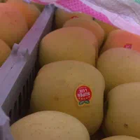 سیب های درجه یک