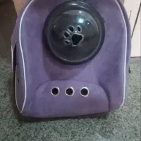 باکس سگ