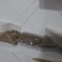 آکواریوم شیشه خم|ماهی|کرمانشاه, |دیوار