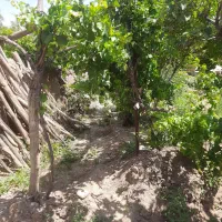 فروش-زمین-داخل-ابارش