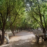 باغبانی‌باغ بانی،درختکاری،هرس،سم پاشی‌سمپاشی|خدمات باغبانی و درختکاری|اصفهان, جلفا|دیوار