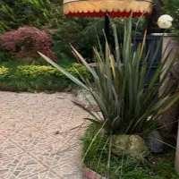 290متر-ویلا-4خواب-حتمآ-فروخته-می-شود-شهرک-پزشکان