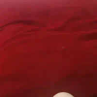 ‌دنبال‌کارشیفت‌شب