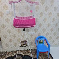 قفس و پایه قفس مدرن مناسب دکور خانه و پرنده