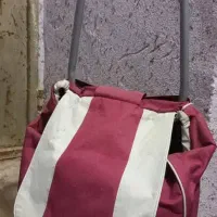 چرخ دستی سبد دار خرید