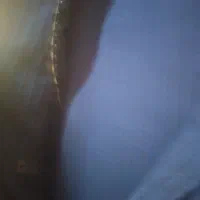 کت وشلوار مردانه|لباس|اردبیل, |دیوار