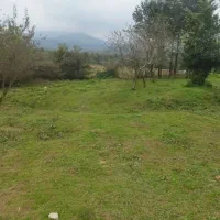 730متر باغی مسکونی دوبر گیلان شفت والیسرا|فروش زمین و ملک کلنگی|احمدسرگوراب, |دیوار