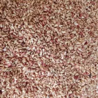 ناردونه محلی