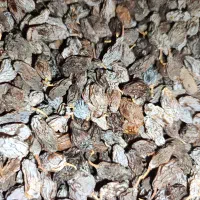 مویز|خوردنی و آشامیدنی|شیراز, دشت چنار|دیوار