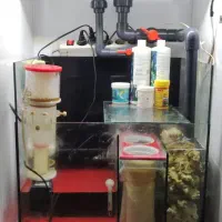 آکواریوم ریملکس حرفه ای|ماهی|اندیشه, شهرک مریم|دیوار