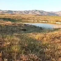 باغ-به-متراژ-1000-متر