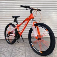 دوچرخه دینوس انتخابی مطمئن24.26