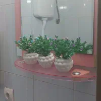 آیینه سرویس بهداشتی