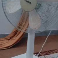پنکه
