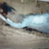 زمین کشاورزی اجاره ای