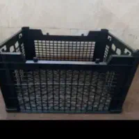 سبد میوه