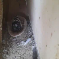 ظروف صفالی تخم گذاری کبوتر