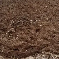 شخم زنی دستی