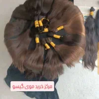 خرید مو به قیمت طلا